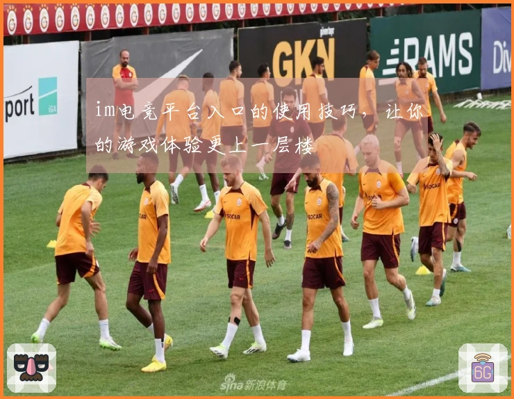 im电竞平台入口的使用技巧，让你的游戏体验更上一层楼