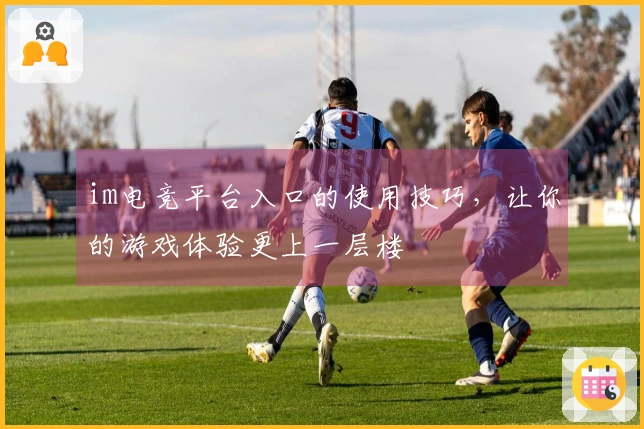 im电竞平台入口的使用技巧，让你的游戏体验更上一层楼